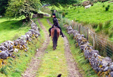 Ireland-Sligo/Donegal-Explore the Donegal  - on your own